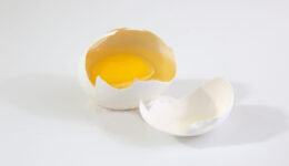 broken-egg_myfyzvkd