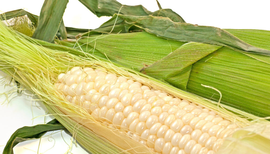 corn-on-the-cob_Mk4D5IdO