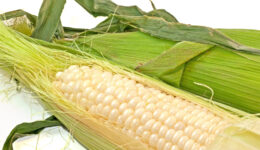 corn-on-the-cob_Mk4D5IdO