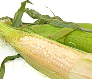 corn-on-the-cob_Mk4D5IdO