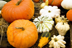 Detail of pumpkins