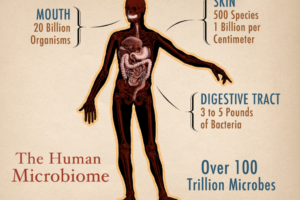 Screen Shot 2017-04-07 at 12.13.07 PM