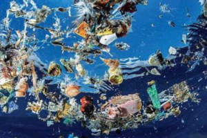 ocean-plastic