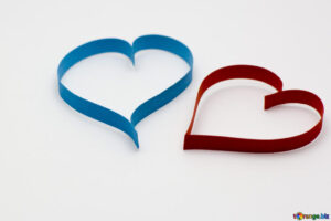 Free picture (Different Heart) from https://torange.biz/different-heart-16760