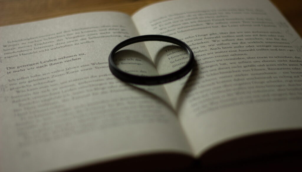 shadow-heart-book