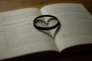 shadow-heart-book