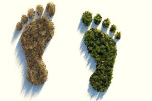 ecological-footprint