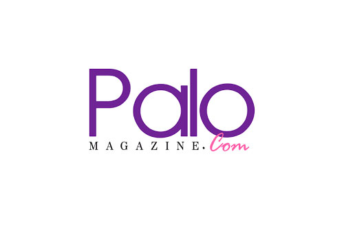 palo-logo