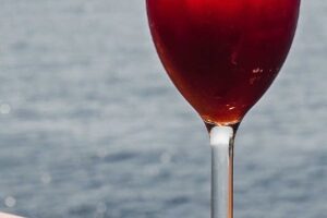 ginger-cardamom-red-wine-sagria