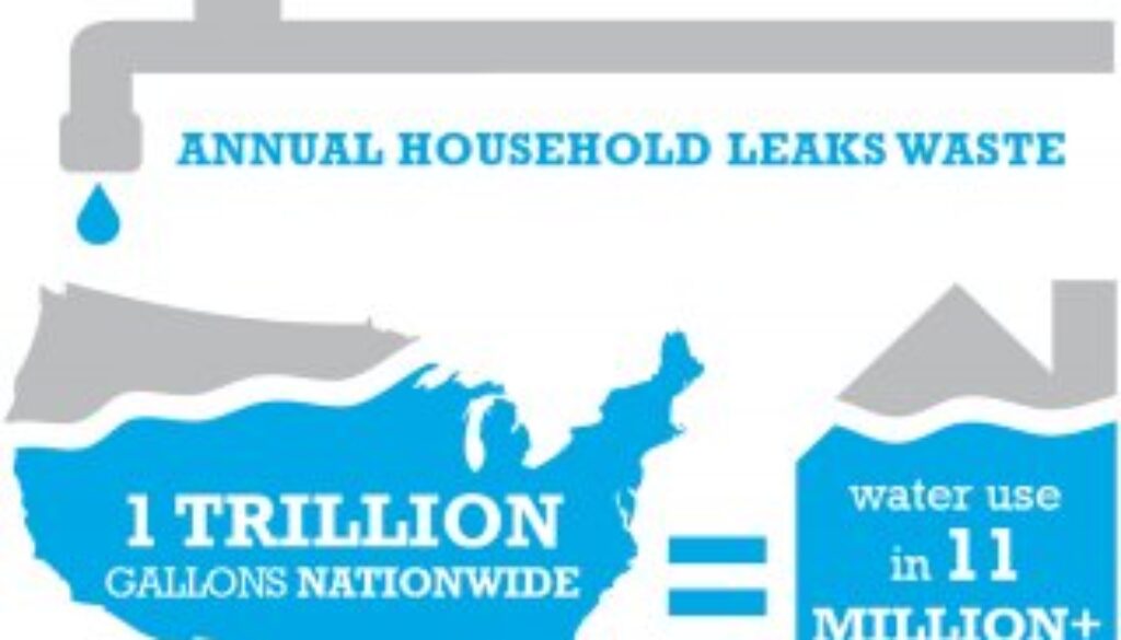 annual-household-leaks