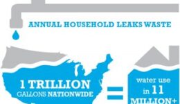 annual-household-leaks