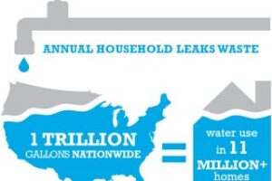 annual-household-leaks