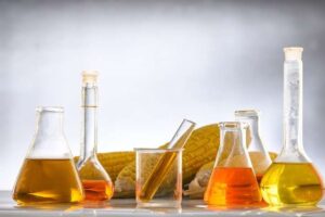 agriculture-4402811_1280-2