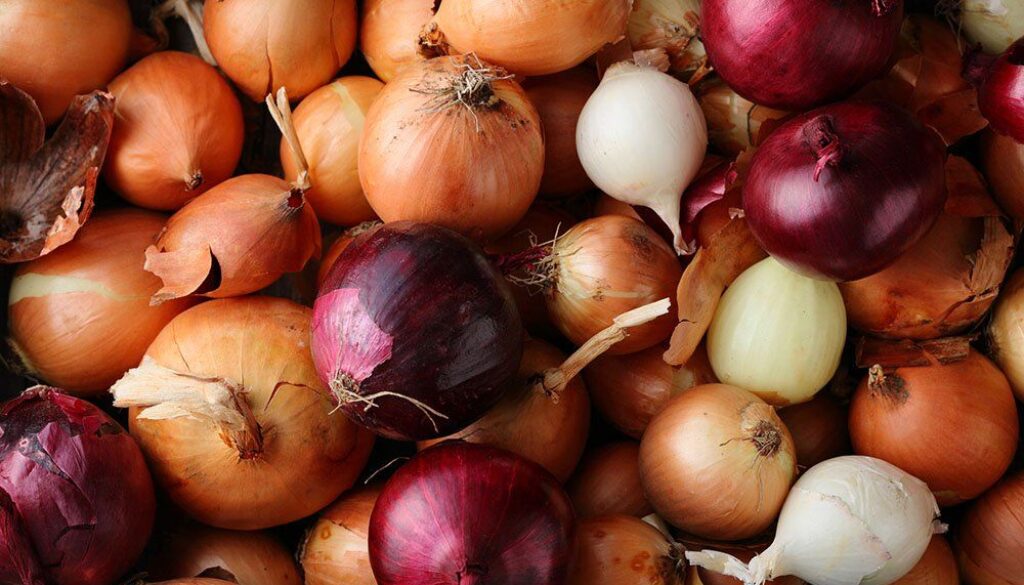 red-onions-vs-white-onions-1508243736 red-onions-vs-white-onions-1508243736