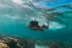 Untitled-design-2022-03-25T111607.351