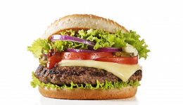 burger-thumb burger-thumb