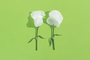 02_cc_featuredimage_hero