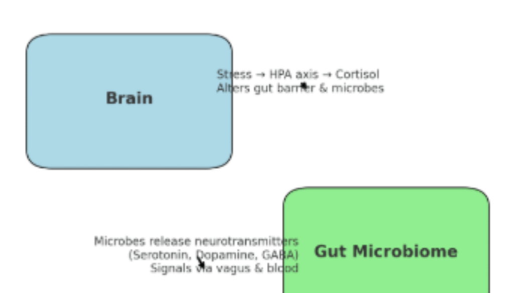 Gut Feelings: How Microbes and Molecules Shape Digestion, Mood, and Immunity