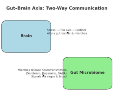 Gut Feelings: How Microbes and Molecules Shape Digestion, Mood, and Immunity Gut Feelings: How Microbes and Molecules Shape Digestion, Mood, and Immunity