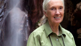 jane-image-gallery-1