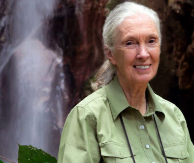 jane-image-gallery-1 jane-image-gallery-1