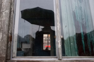 paubuscato-3-800x530