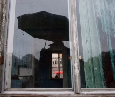 paubuscato-3-800x530