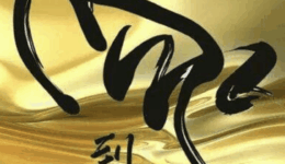 Screenshot 2026-01-29 at 00.13.30