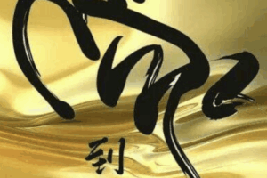 Screenshot 2026-01-29 at 00.13.30