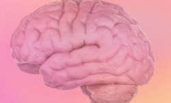 Screenshot 2026-03-02 at 10.03.42