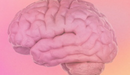 Screenshot 2026-03-02 at 10.03.42