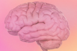 Screenshot 2026-03-02 at 10.03.42