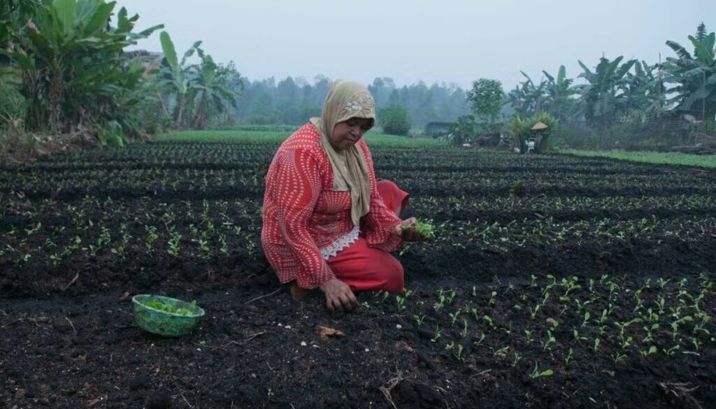 Farmer planting in haze of smoke in Kalimantan Indonesia-CC-Aulia Erlangga_CIFOR-2015 (1)