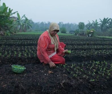 Farmer planting in haze of smoke in Kalimantan Indonesia-CC-Aulia Erlangga_CIFOR-2015 (1)