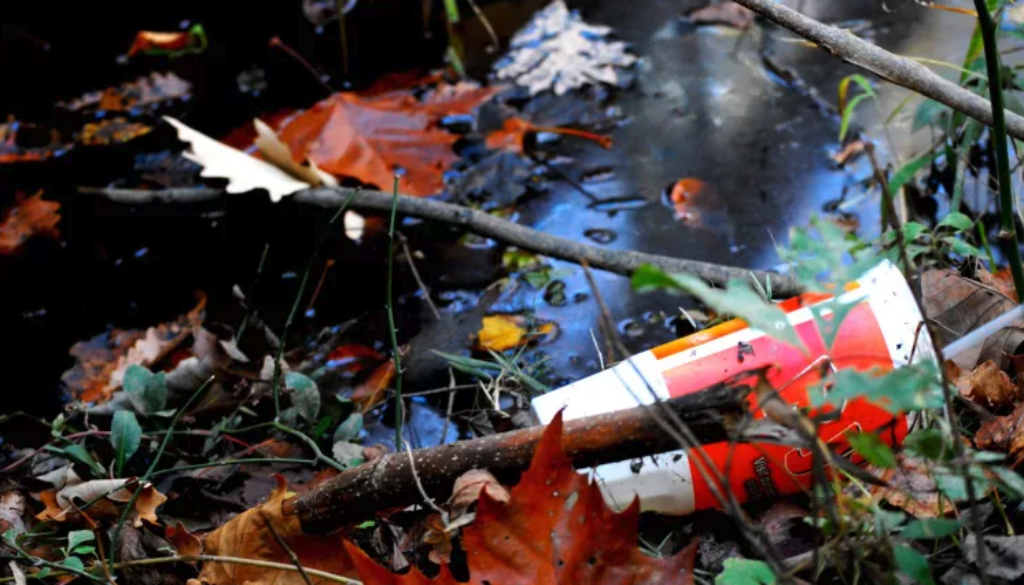 Single-Use Plastics 101