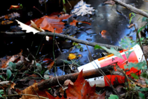Single-Use Plastics 101