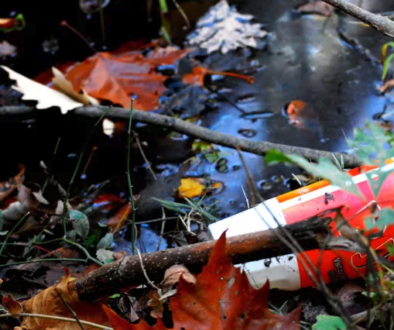 Single-Use Plastics 101