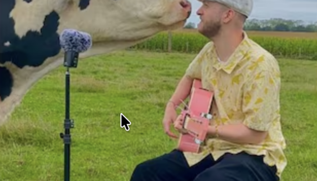 This Musician Sings for Animals and Became an Internet Star