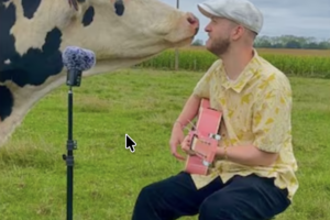 This Musician Sings for Animals and Became an Internet Star