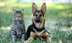 blog featured images